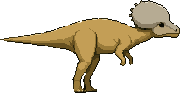 Pachycephalosaurus