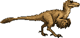 Velociraptor
